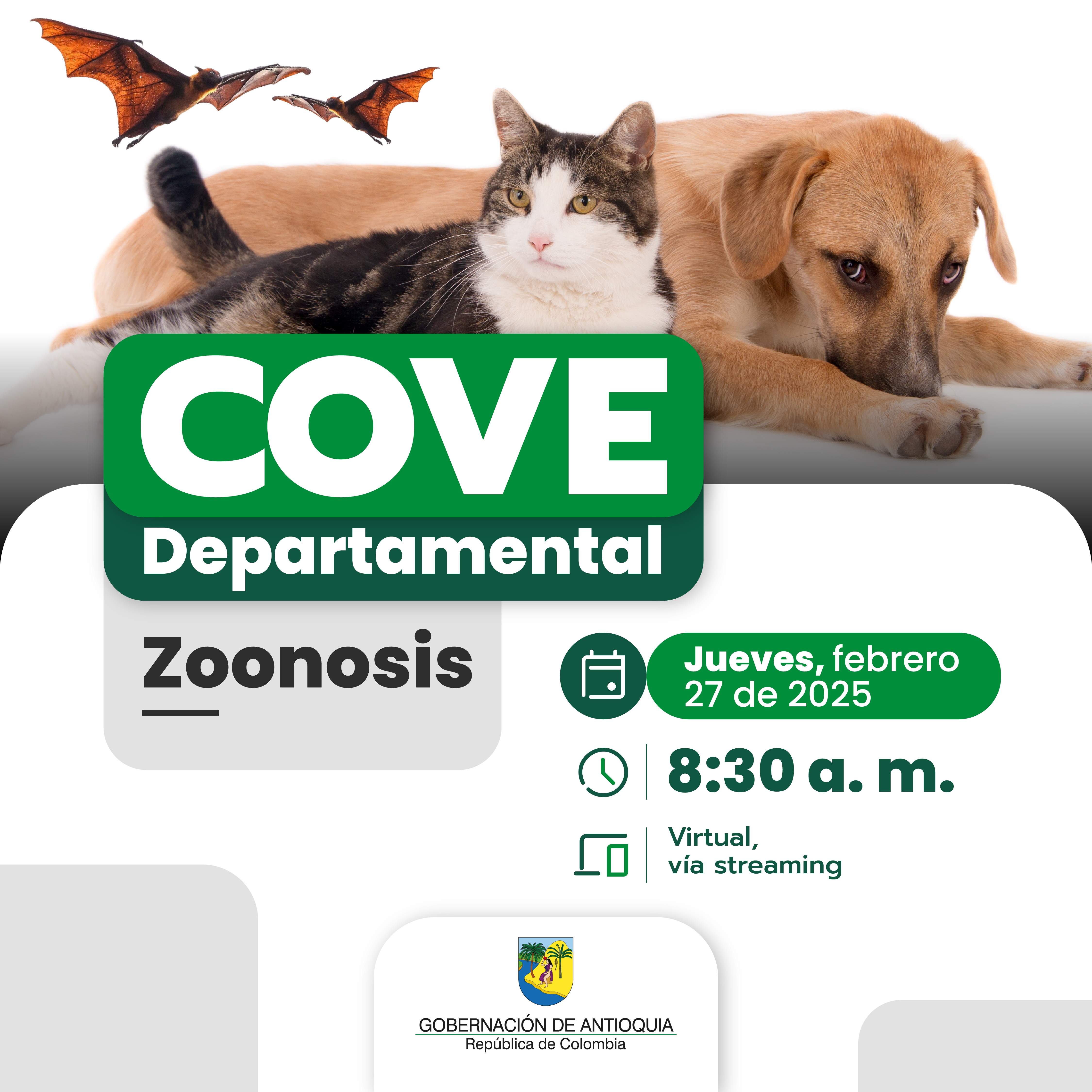 Cove-departamental-enero-2025-virtual