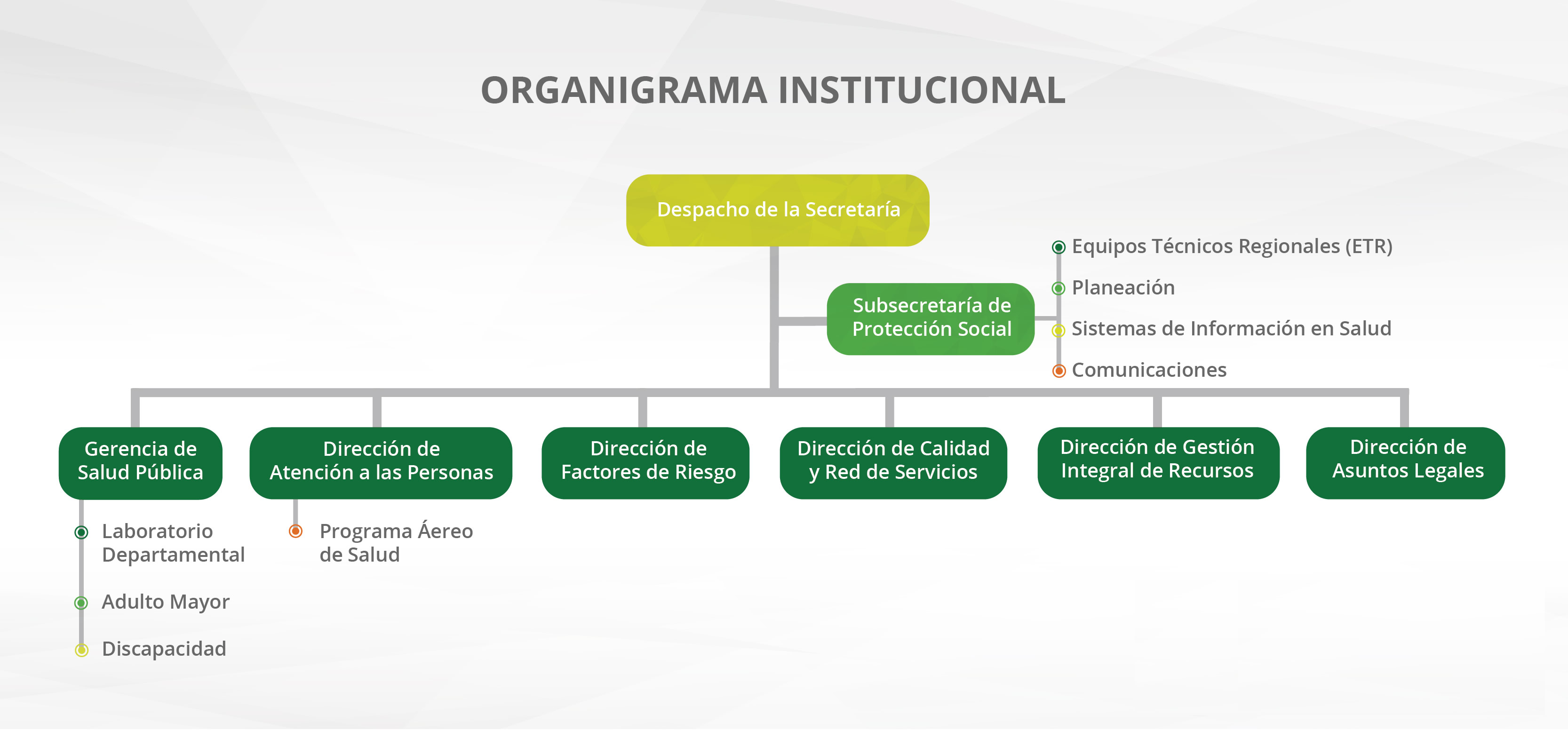 Estructura Organica