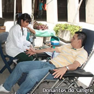 Antioquia exalta a los donantes de sangre