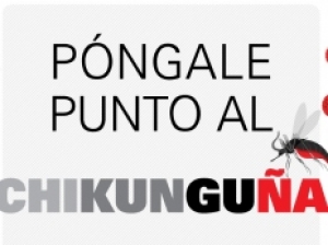 Indicaciones para la atención del virus chikunguña en Colombia
