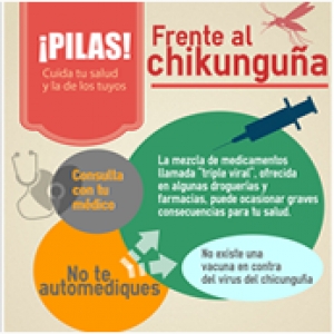 Chikunguña y dengue ¡Vamos a evitar!